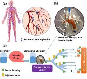 Yapay Dolaşım Sistemi Test Düzeneği. (a) Vücut içi algılama cihazları ile Dolaşım Sisteminin şematik gösterimi (b) Yapay Dolaşım Sistemi için 3D baskı ile üretilecek olan pulmoner arter bileşeni (c) Yapay Dolaşım Sistemi test ortamının şematik gösterimi