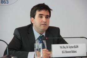 Doç. Dr. Ceyhun Elgin